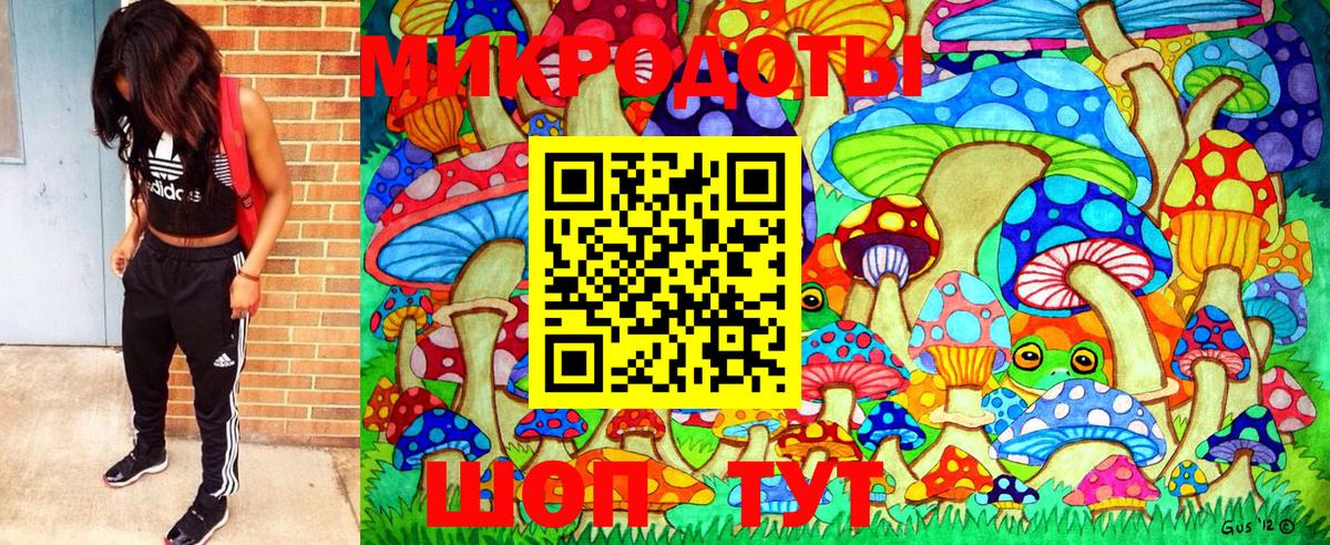 Псилоцибиновые грибы Psilocybe Кемерово